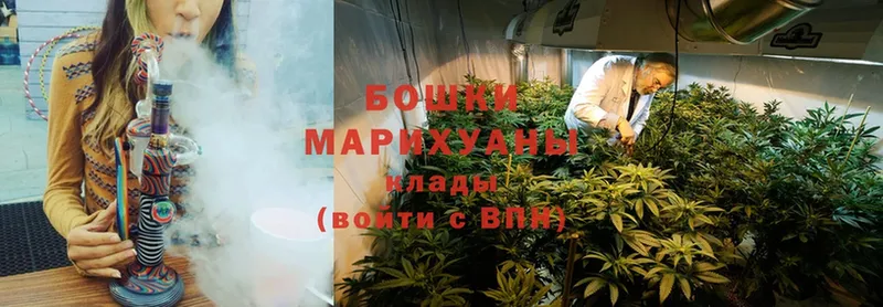 наркота  Семилуки  Бошки марихуана Ganja 